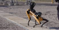 The rise of the robotic working dog