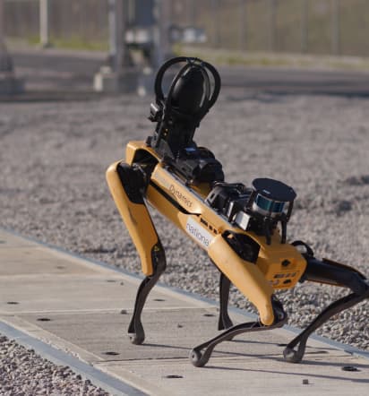 The rise of the robotic working dog