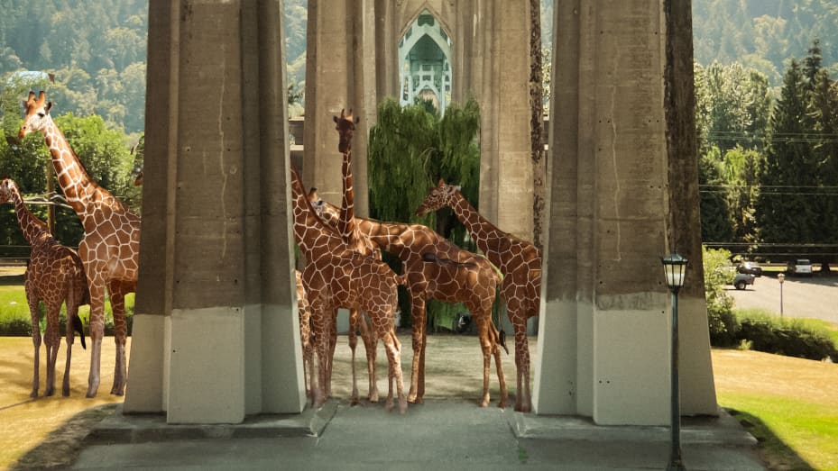 "Giraffes in Portland," by Elise Swopes.