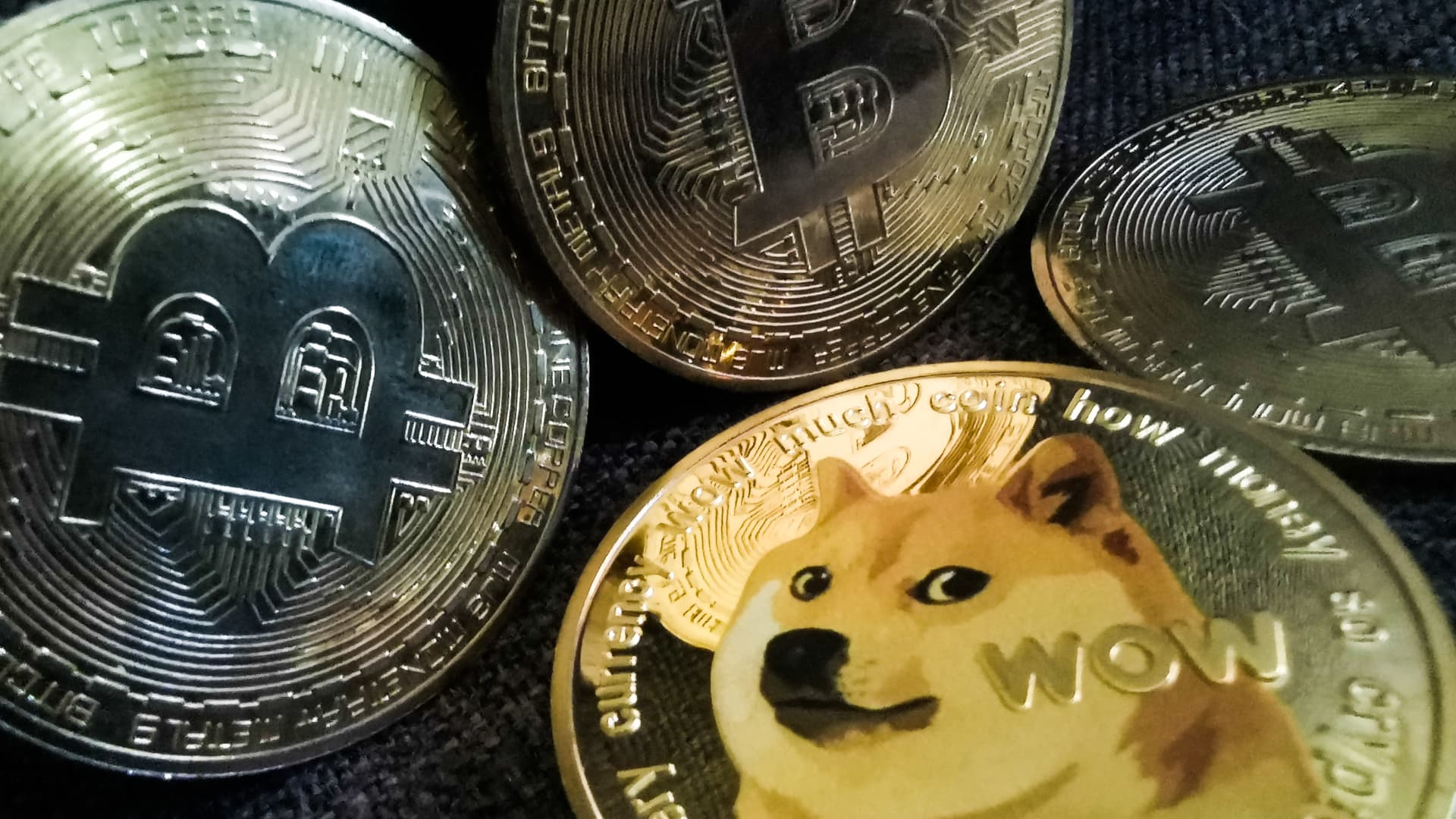 Dogecoin jumps more than 30% after Musk changes Twitter logo to image of shiba inu
