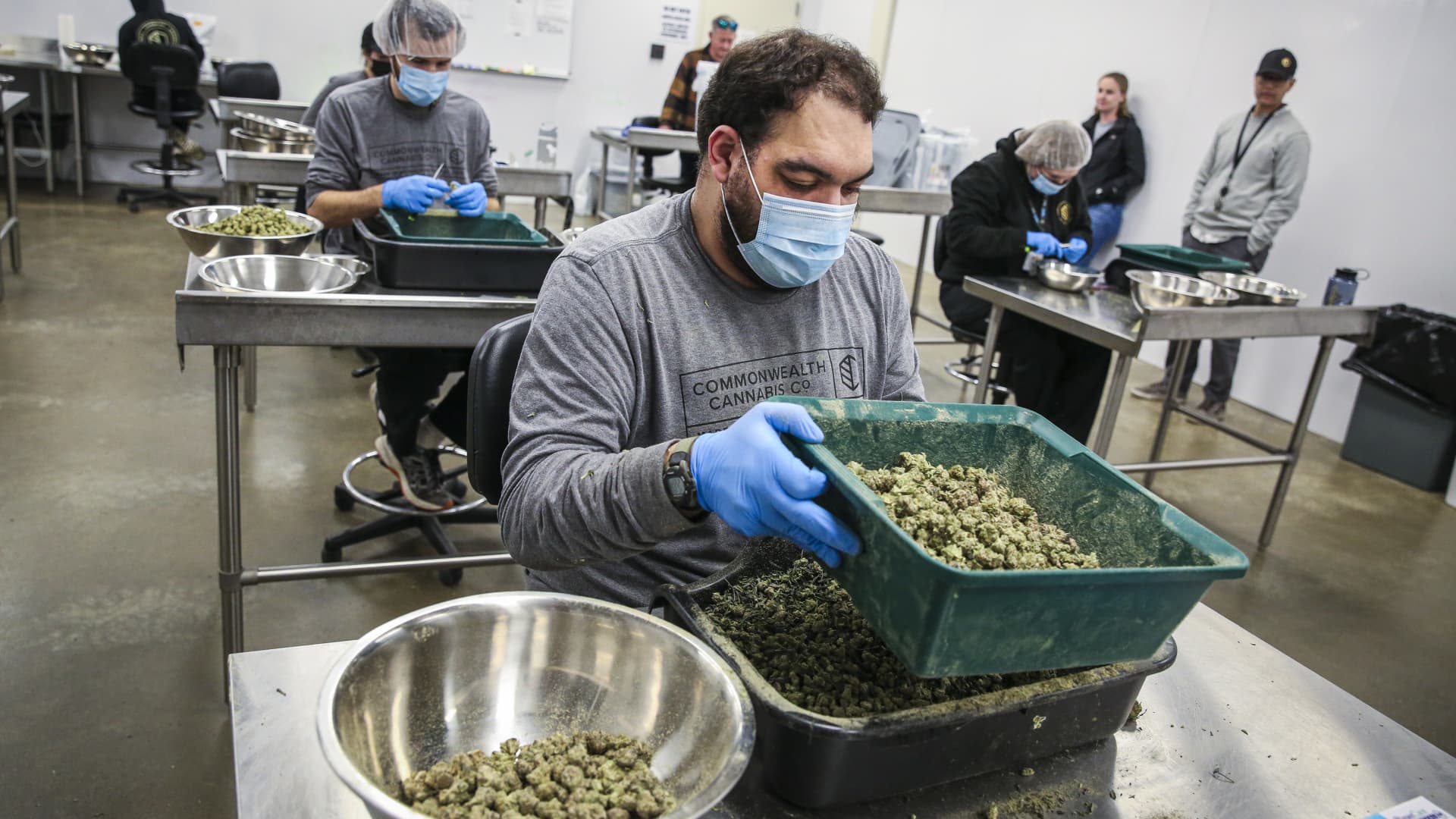 HHS calls for easing restrictions on marijuana, sending cannabis stocks higher