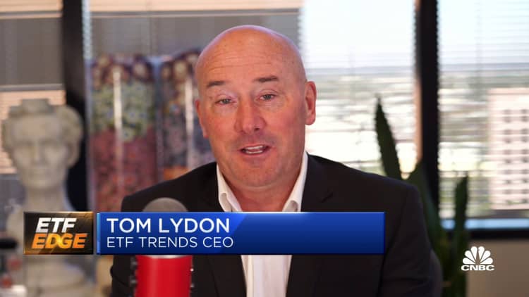 I wouldn't bet against Cathie Wood's high-tech names, says ETF Trends CEO Tom Lydon