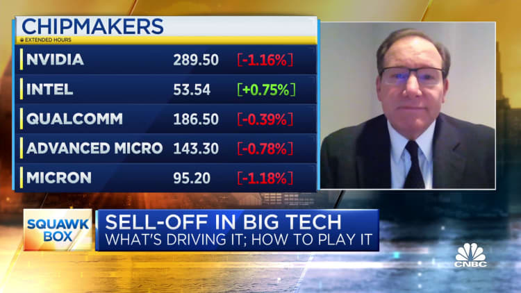 Semiconductor stocks will continue to outperform Big Tech, says portfolio manager Paul Meeks