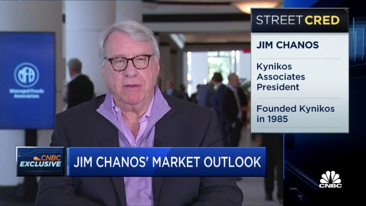 Chanos says his firm's long the indexes and short a lot of the craziness