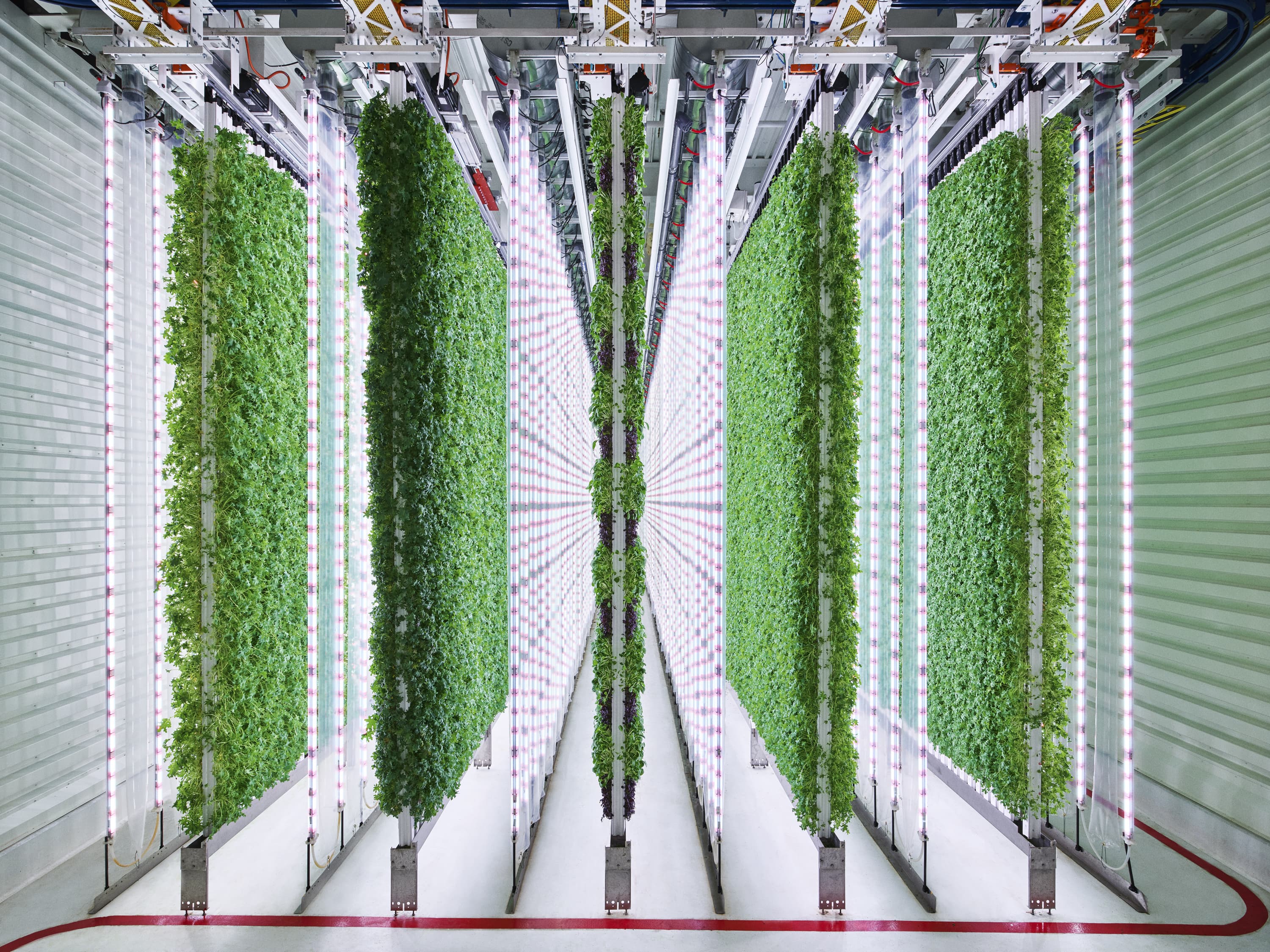Walmart makes an investment in vertical farming start-up Plenty