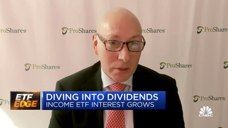 Dividends are an important hedge against inflation, says ProShares Advisors Hyman