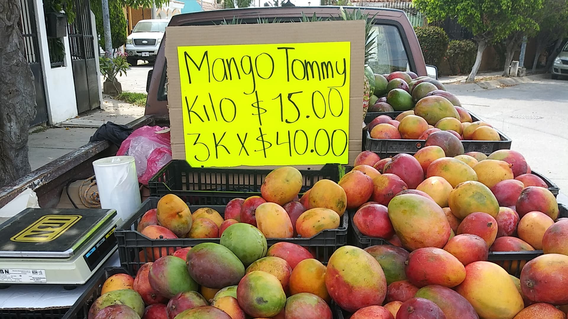 When mangos are in season, they're so cheap it's unbelievable. A kilogram is 2.2 pounds; 15 pesos isn't even $1. You do the math!
