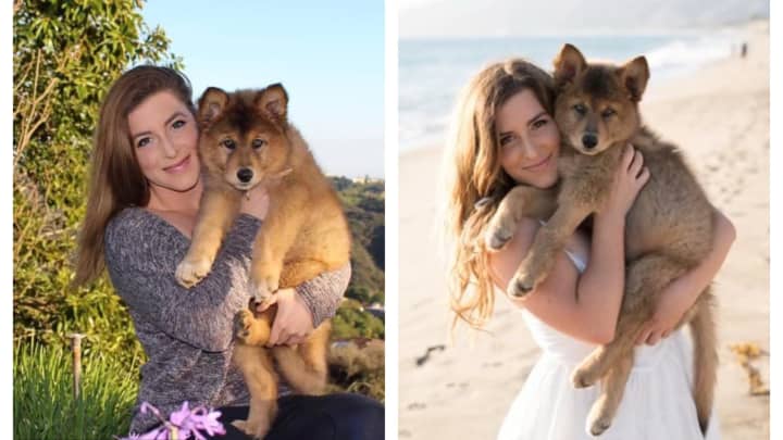 Instagram and TikTok's newest pet influencers are cloned cats and dogs