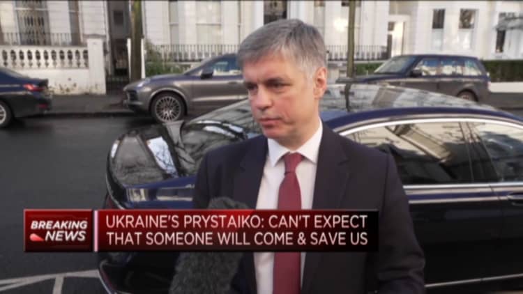Can't expect NATO to save us, Ukrainian ambassador to UK says