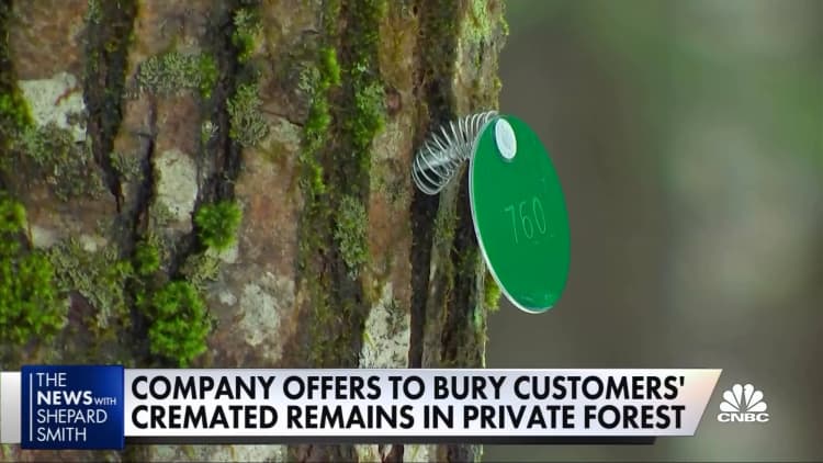 Funerals go green as cremated remains are 'buried' in private forests