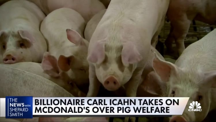 Carl Icahn takes on McDonald's over its treatment of pigs