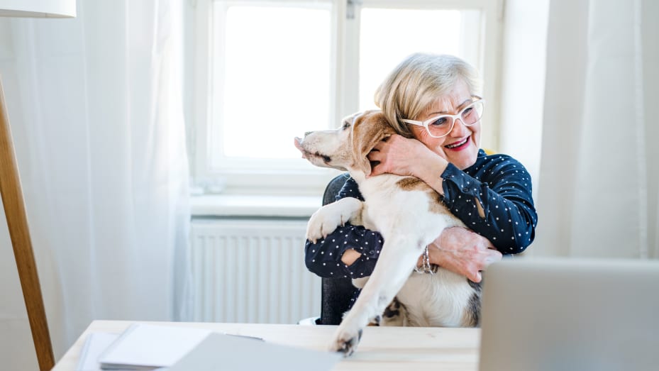 An active senior woman with a dog working at home.