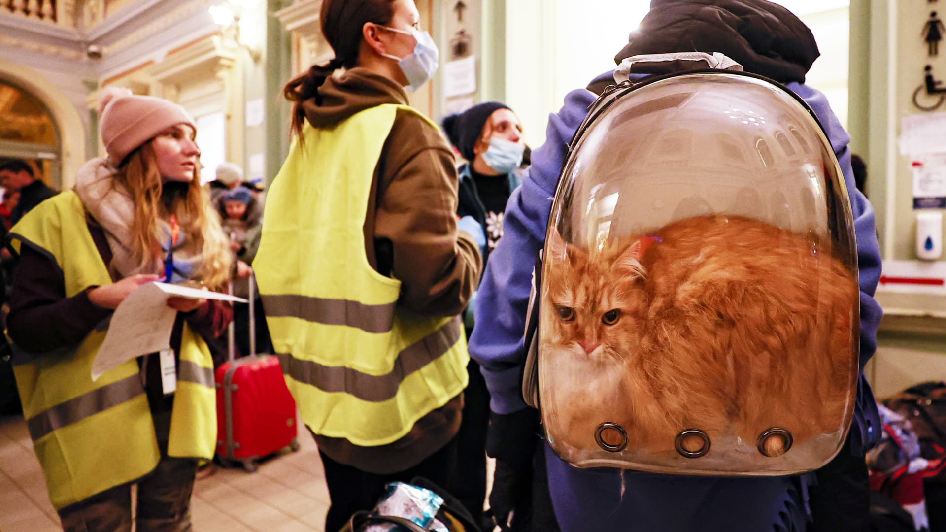 Photo shows a Ukrainian civilian taking shelter with a cat in the backpack at the Przemysl train station, 20 kilometers from the Ukrainian border, in Przemysl, Poland on February 28, 2022.