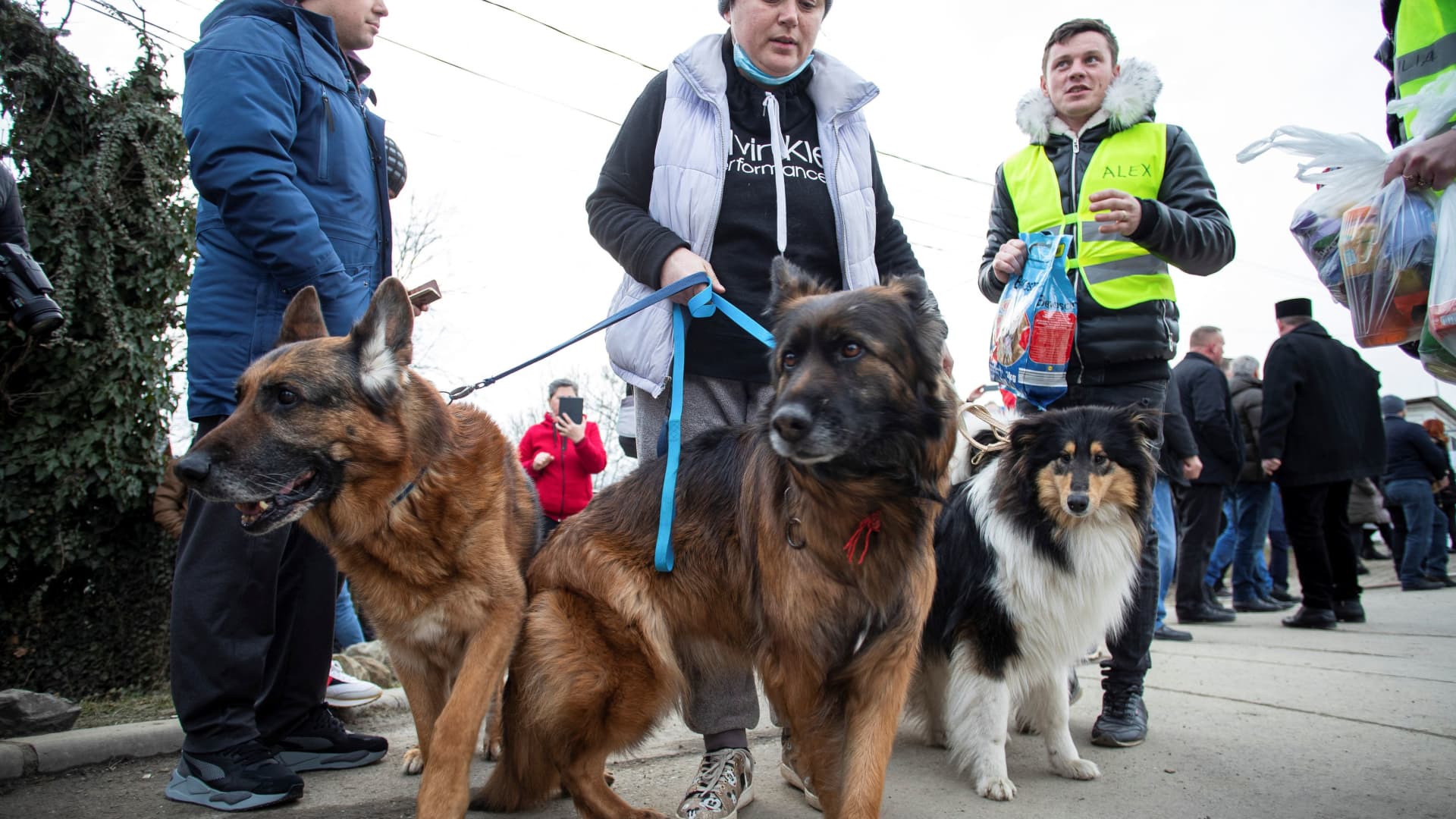 Ukrainians with their pets cross the border into Romania from Ukraine at Sighetu Marmatiei Customs, in Sighetu Marmatiei, Romania, February 26, 2022.