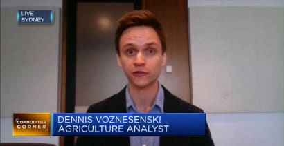Ukraine war could affect some global crop supplies into next year, says analyst