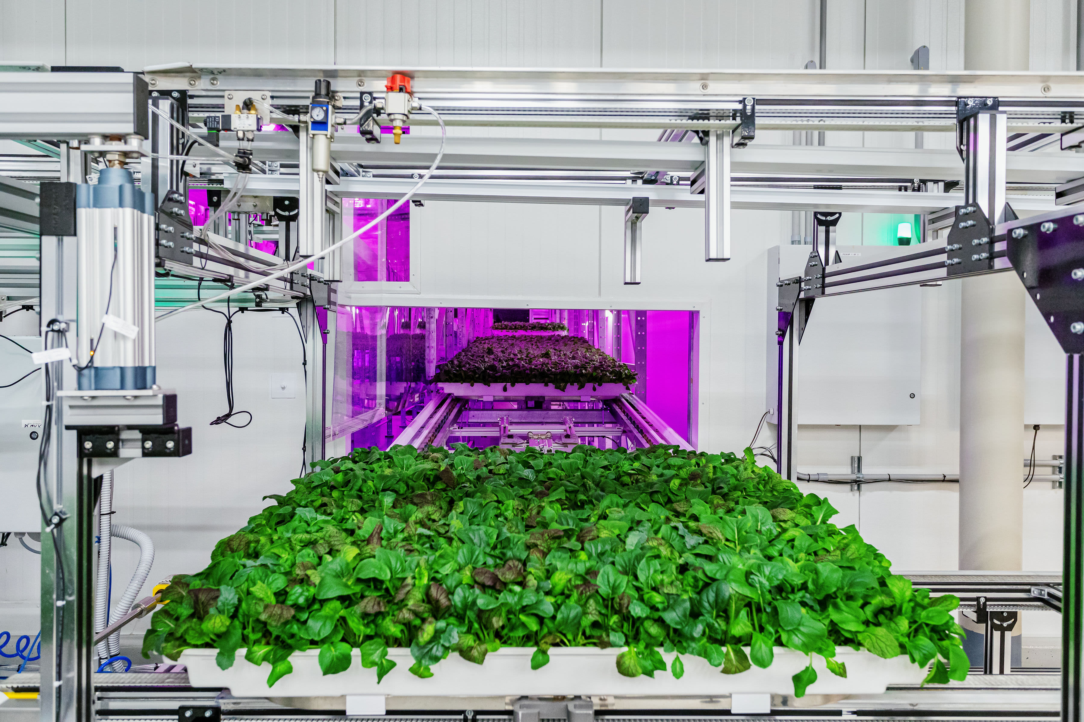 Next to the last steel mill in town, a robotic farm grows backed by Pritzker billions