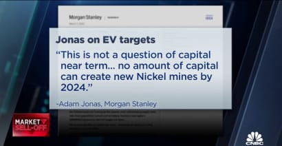Morgan Stanley raises question on Russia and EV material sourcing