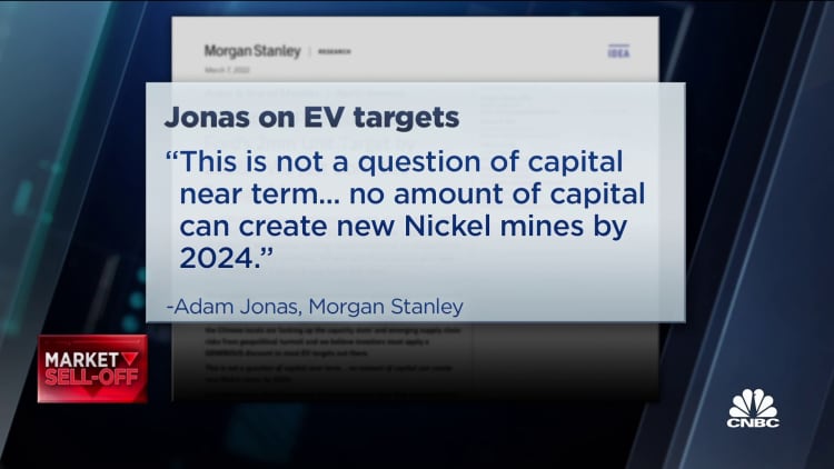Morgan Stanley raises question on Russia and EV material sourcing
