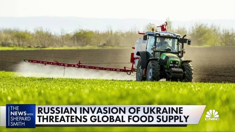 Wheat and corn prices surge amid Russian invasion of Ukraine