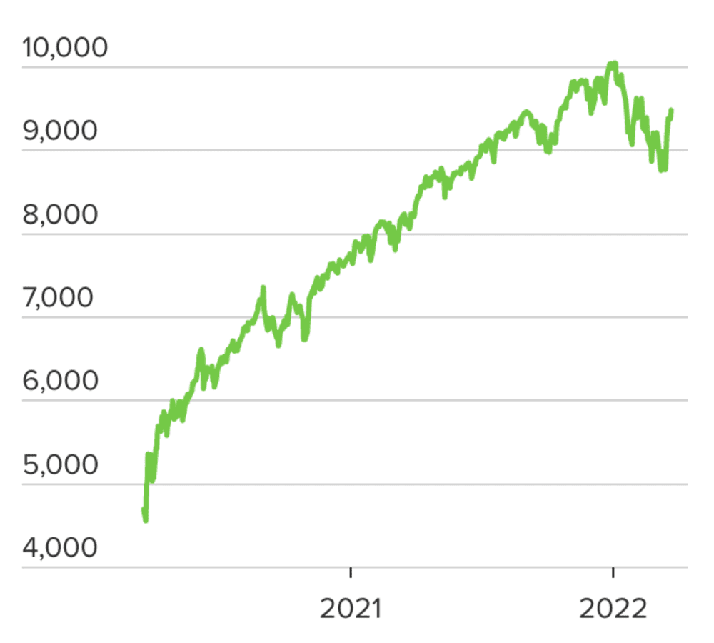 How much money you'd have now if you invested $1,000 at the start of the bull market in 2020