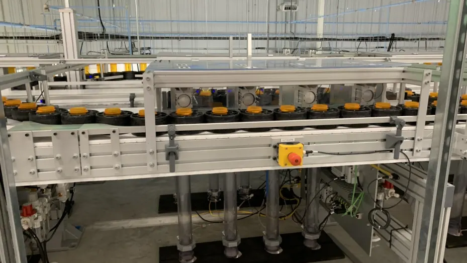 Pill bottles and caps move through a choreographed and highly automated assembly line in the Dallas area. Walgreens is building similar micro-fulfilment centers across the country.