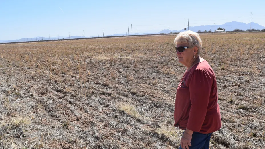 Farmer Nancy Caywood stands in what once was an alfalfa field. The land is now fallow after her farm was cut off from accessing water from the San Carlos reservoir.