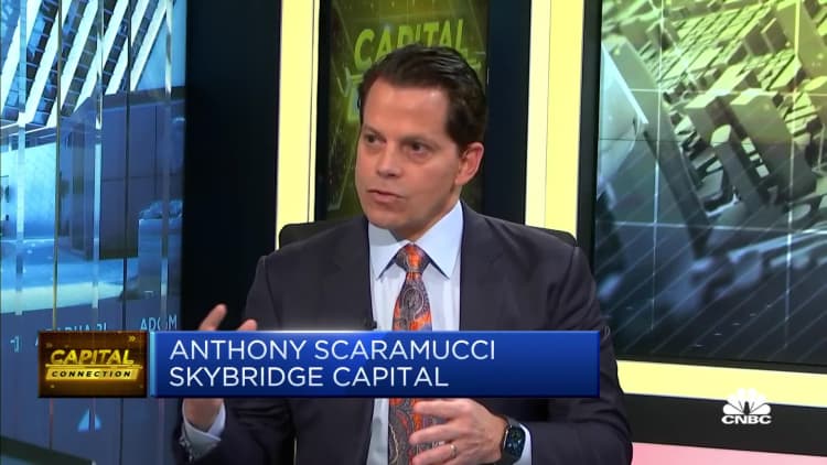 Anthony Scaramucci says he's 'not quite convinced' there will be a recession