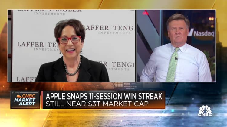 Apple is a must-own stock, says Laffer Tengler Investments CEO