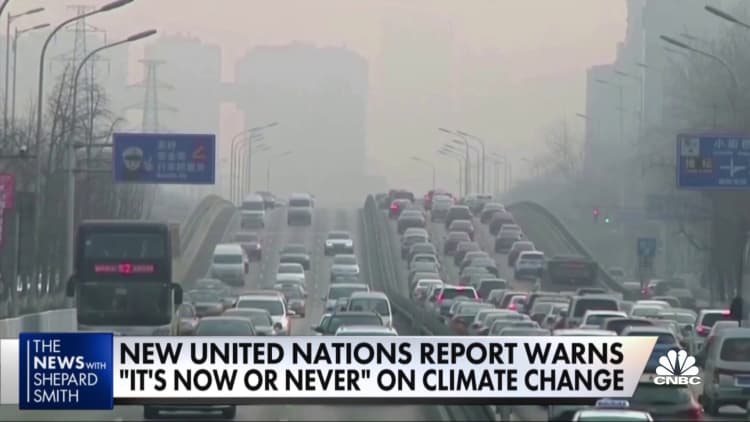 U.N. climate report says world must deal with climate change 'now or never'