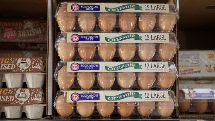 Excessive egg costs on account of a ‘collusive scheme’ by suppliers, group claims