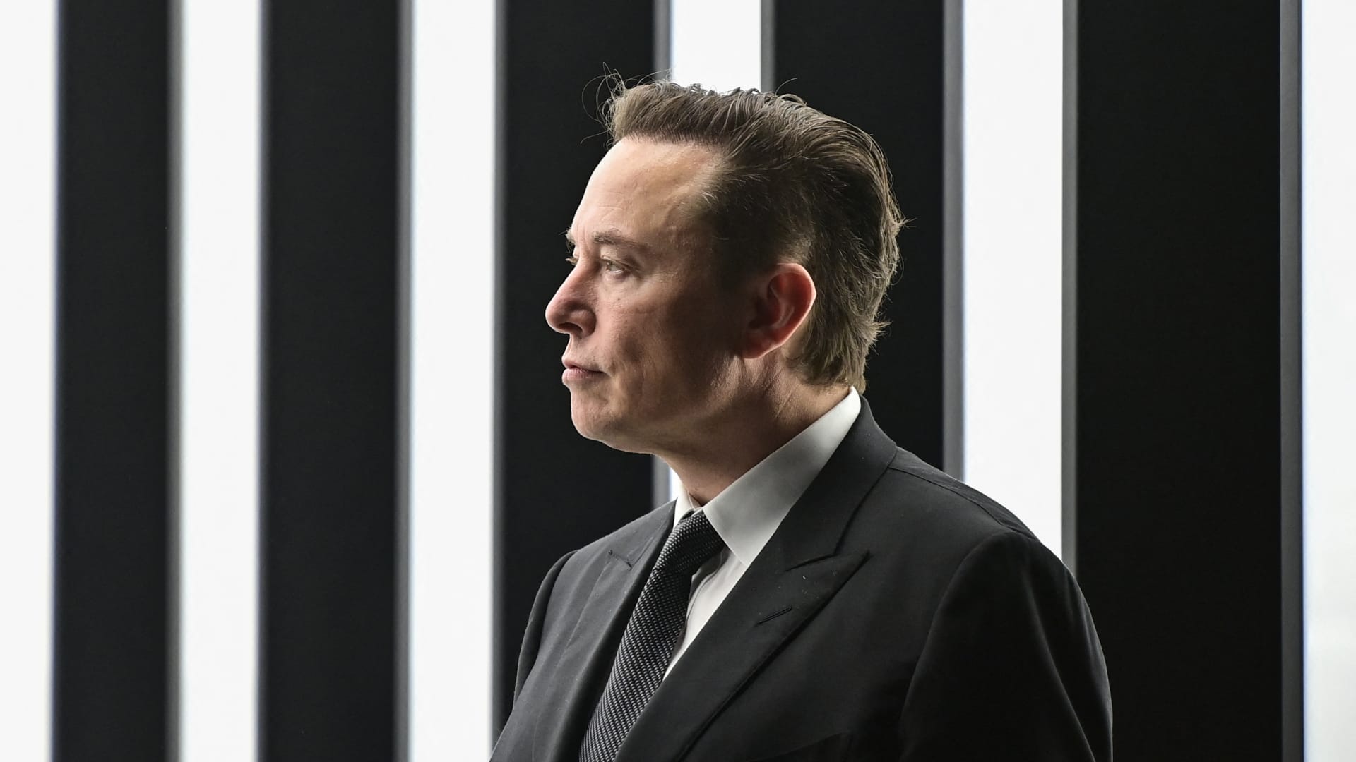 Elon Musk suggests people who subscribe to Twitter Blue should be able to pay wi..