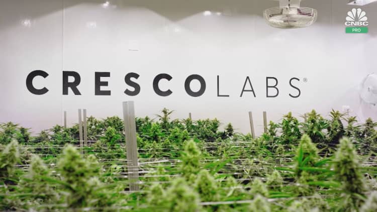 Economic impact of legalized marijuana in the U.S.: Frank Holland interview with Cresco Labs CEO Charlie Bachtell