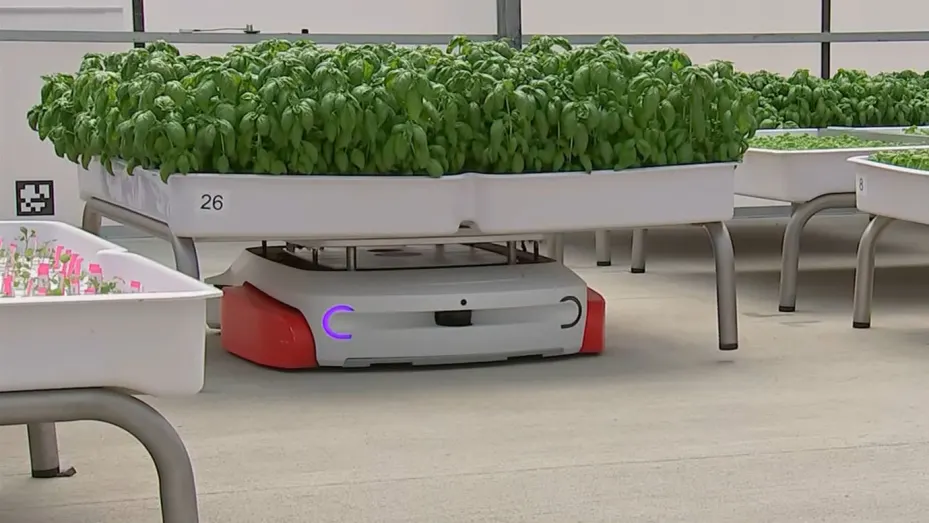 Robot works the hot house at Iron Ox, a Silicon Valley clean agriculture startup.