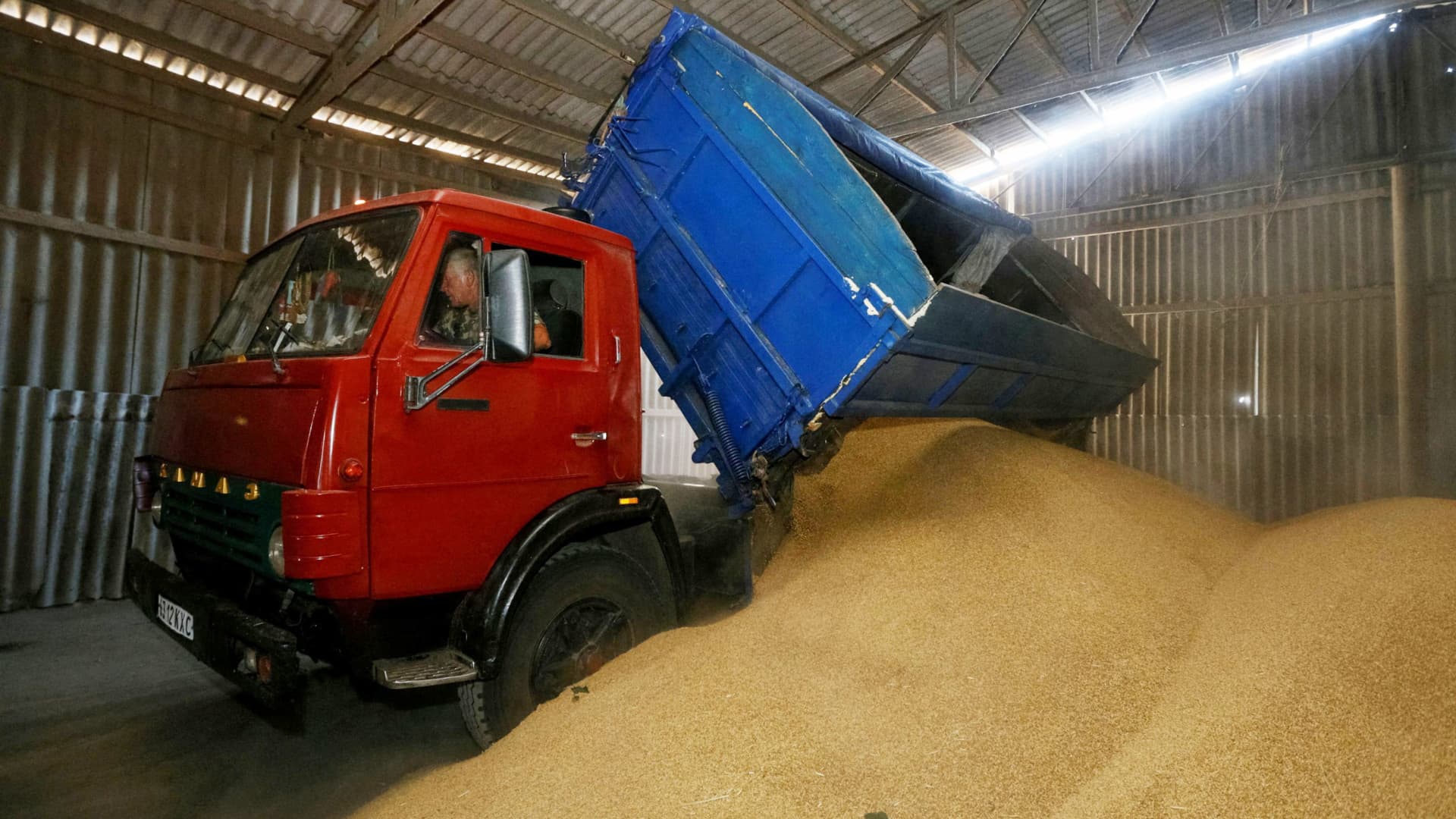 A driver unloads a truck at a grain store during barley harvesting in the village of Zhovtneve, Ukraine, July 14, 2016.
