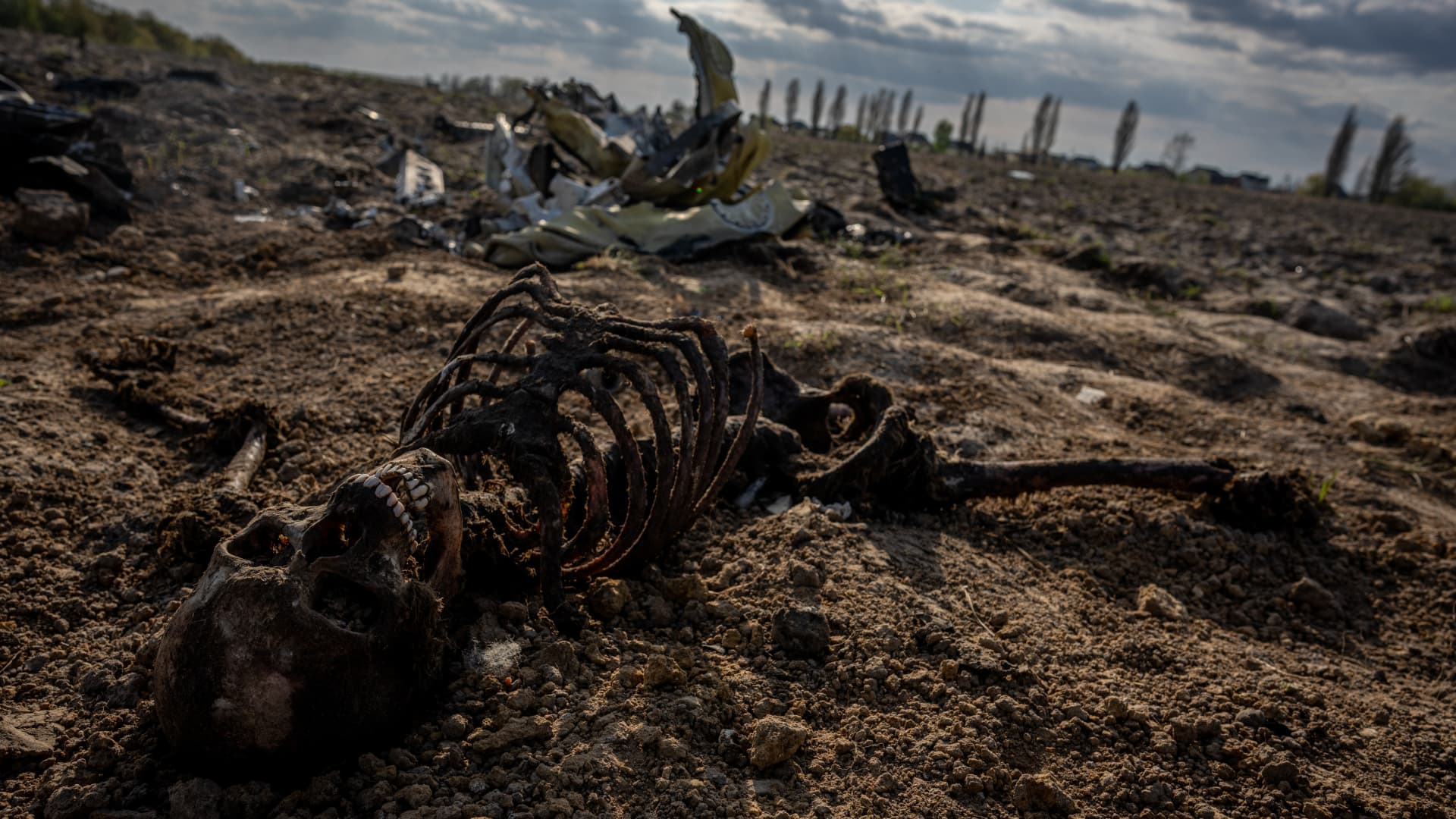 MAKARIV, UKRAINE - MAY 2: (EDITORS NOTE: Image depicts death) The skeleton of a Russian is seen near a destroyed helicopter on a field outside of Makariv, Kyiv Oblast, Ukraine on May 2, 2022.
