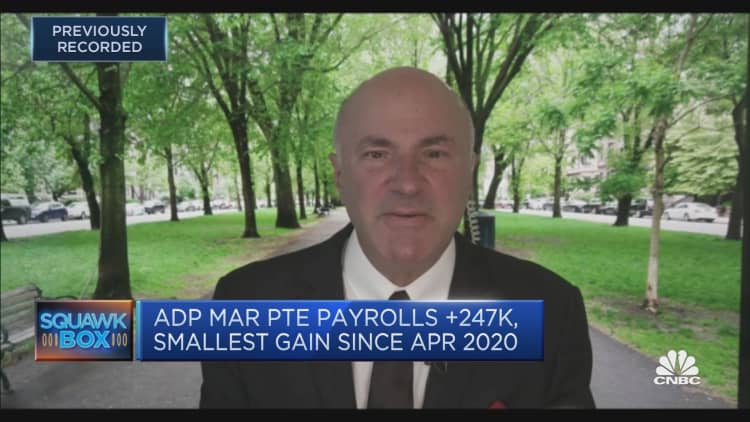 The U.S. Fed will likely be more accommodative in the back-end of the year, says Kevin O'Leary