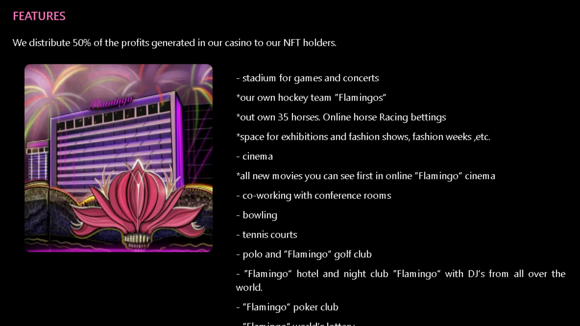 Screenshot taken from Flamingo Casino Club’s website describing the financial perks to retail investors. 