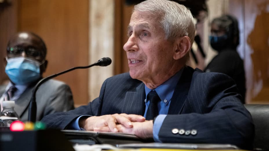 Dr. Anthony Fauci, Director of the National Institute of Allergy and Infectious Diseases, testifies at a Senate Appropriations Subcommittee on Labor, Health and Human Services, Education, and Related Agencies hearing to discuss President Biden's fiscal year 2023 budget request for the National Institute of Health on Capitol Hill in Washington, May 17, 2022.