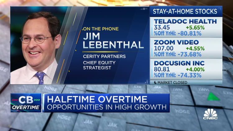 I don't like any of these stay-at-home stocks, says Cerity's Jim Lebenthal