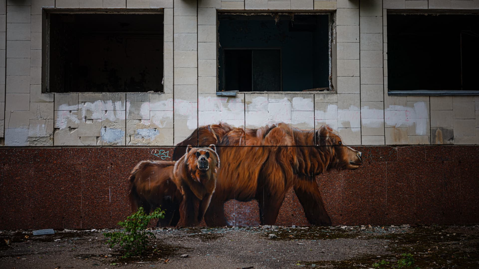 A photograph shows a graffiti depicting bears in the ghost town of Pripyat near the Chornobyl Nuclear Power Plant on May 29, 2022, amid the Russian invasion of Ukraine.