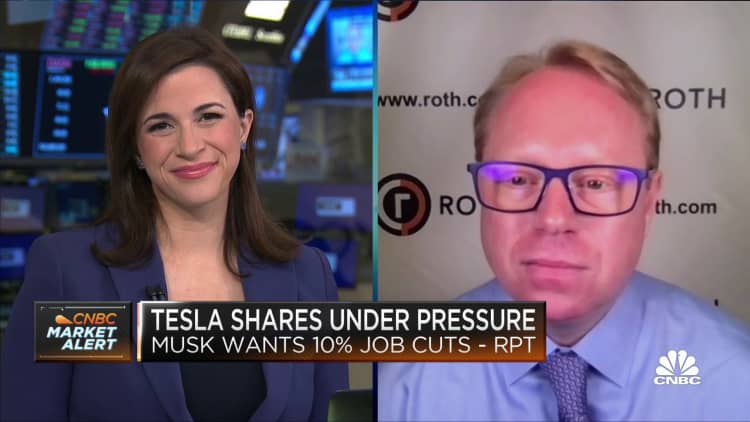 Longer-term demand for Tesla isn't really all that changed, says Roth Capital's Irwin