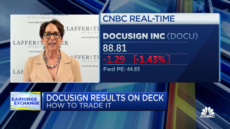 DocuSign has potential for growth with Microsoft deal, says Laffer Tengler's Nancy Tengler