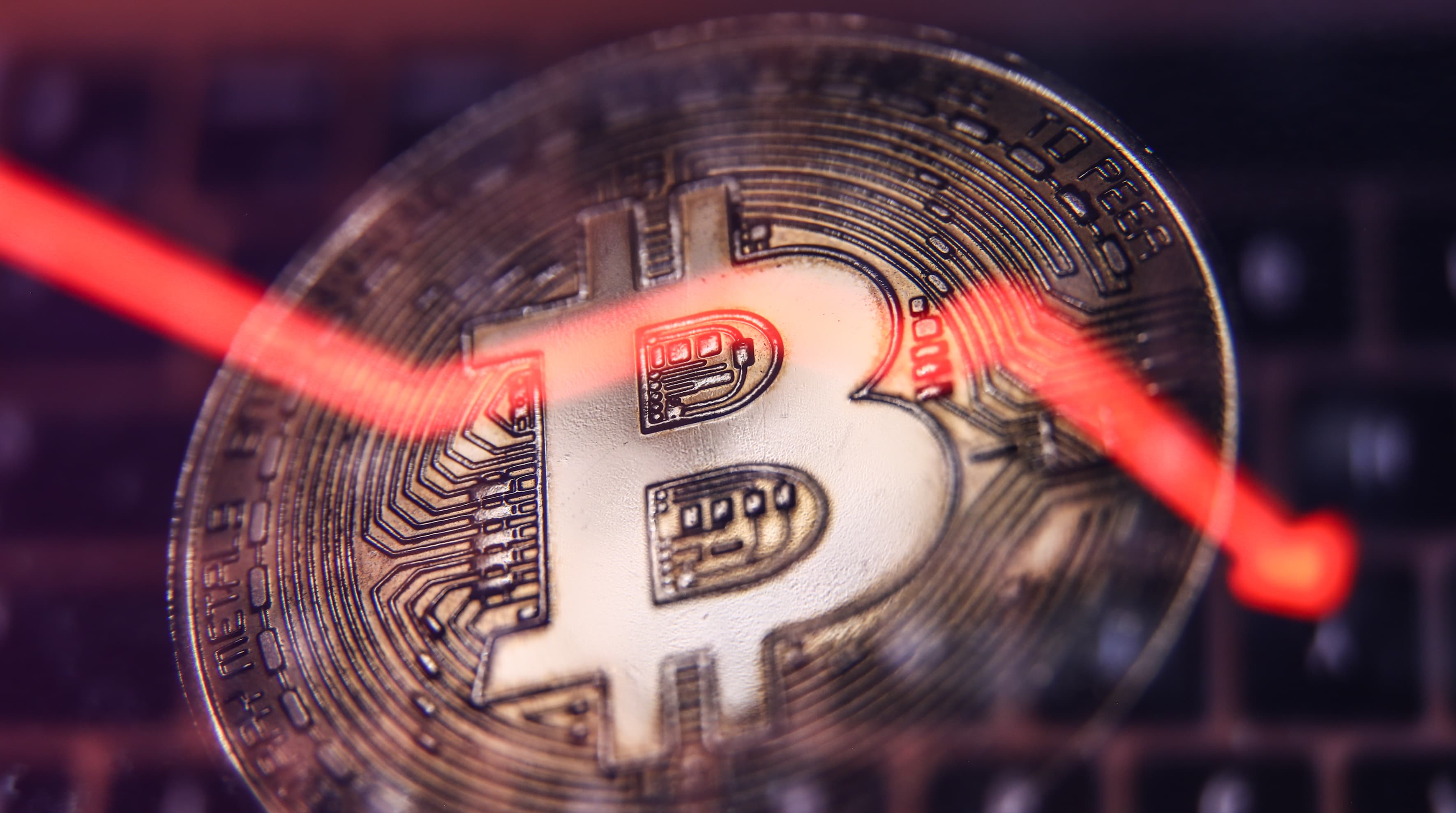 Bitcoin volition  autumn  further, says money  manager   — until this 1  catalyst kicks in