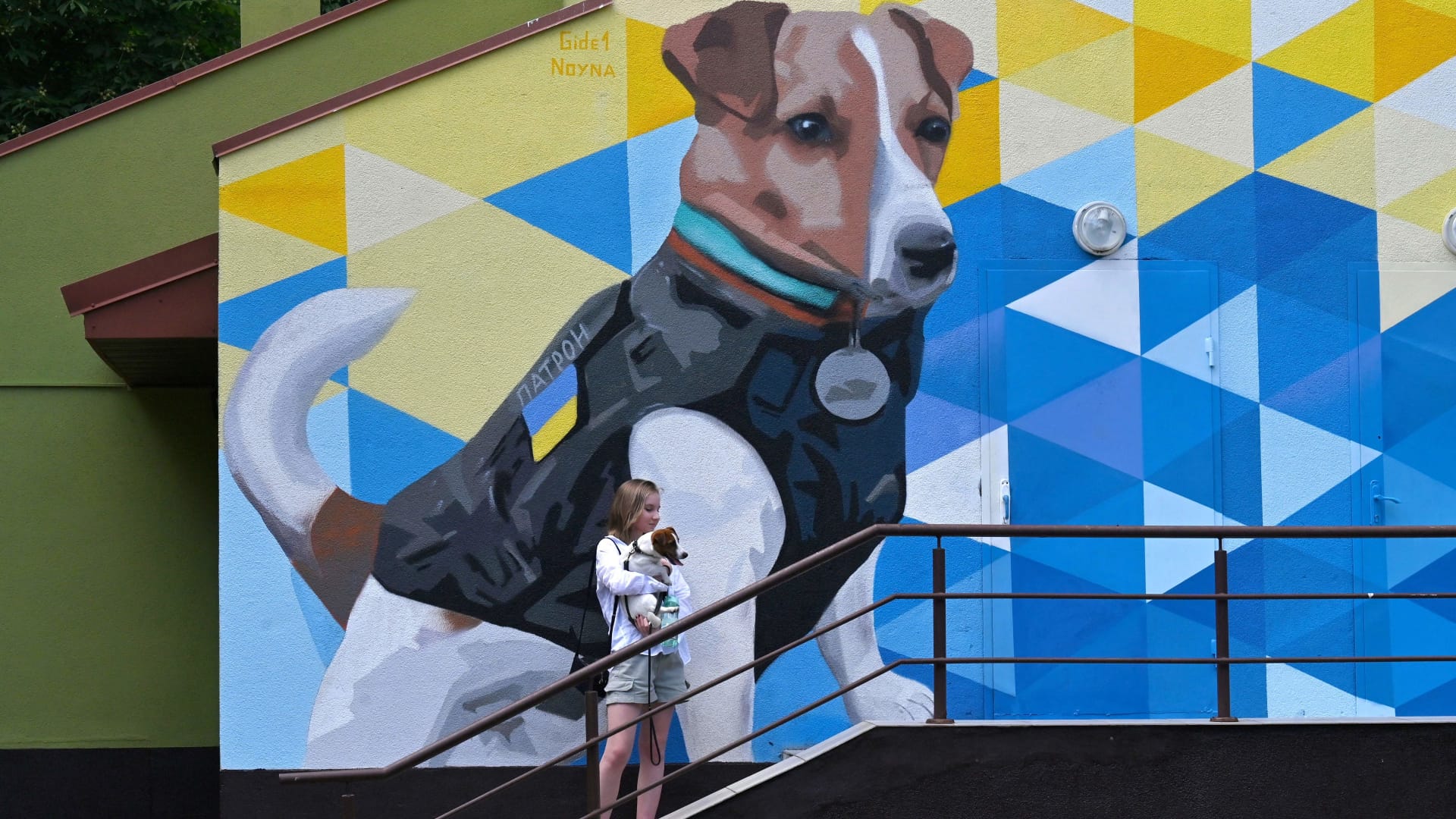 A girl holds her dog as she poses in front of a mural by artist Vitaly Gidevan, depicting a Jack Russell Terrier called Patron renown for helping sappers demine areas recaptured from Russian forces, in Kyiv on June 14, 2022. Patron, who has more than 290,000 followers on Instagram, received a medal for Dedicated Service from Zelensky in May and was awarded a special prize at the Cannes Film Festival the same month.