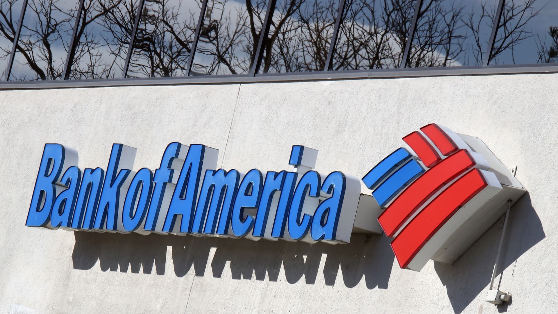 Forget big cap stocks.  Bank of America’s largest small and medium-sized stocks
