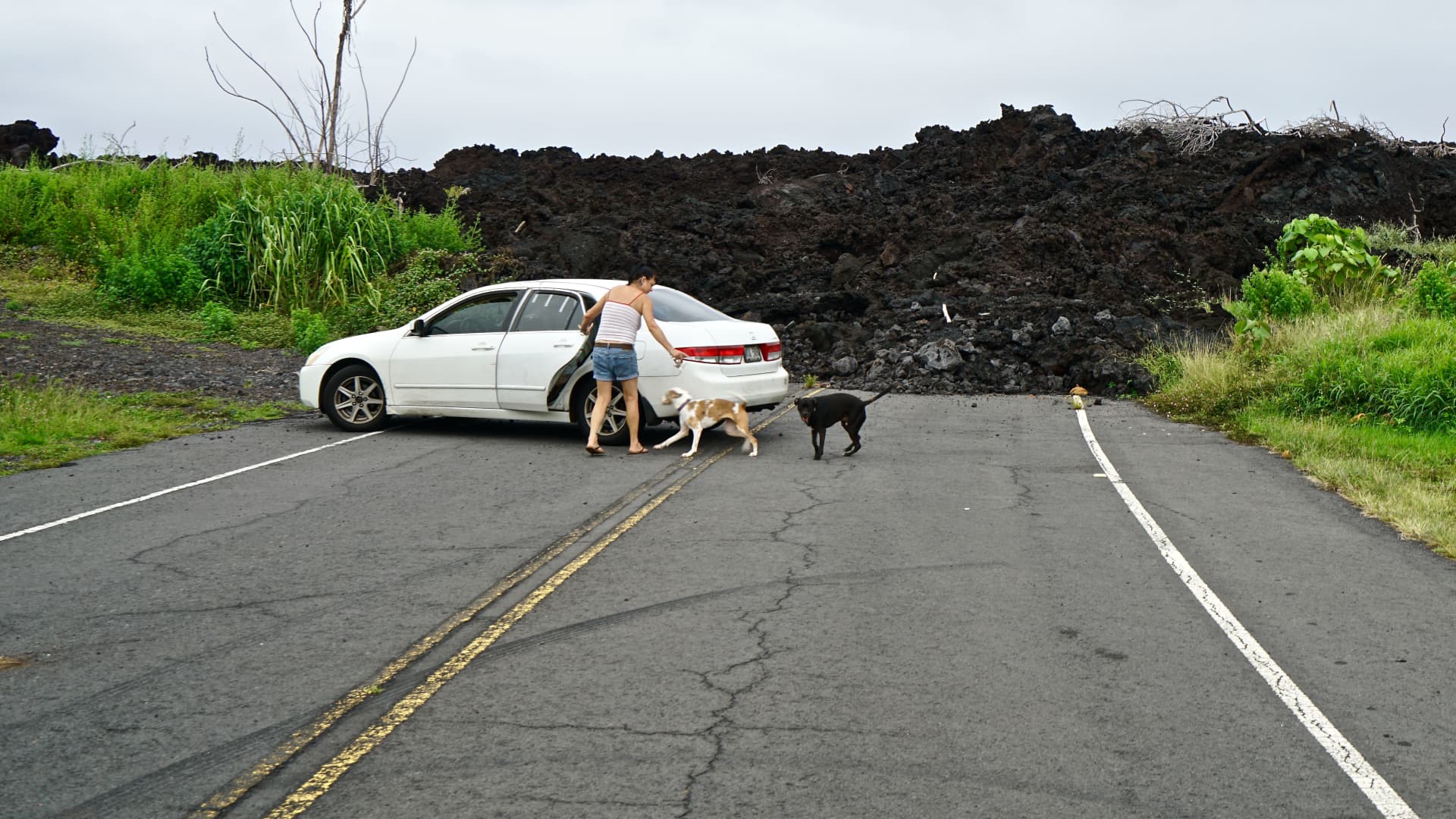 Lava intrusion from 2018 inside Isaac Hale Park on October 25,2019 in Big island, Hawaii. On May 3rd 2018, a 6.9 magnitude earthquake rocked the South East region of Big Island in Hawaii.