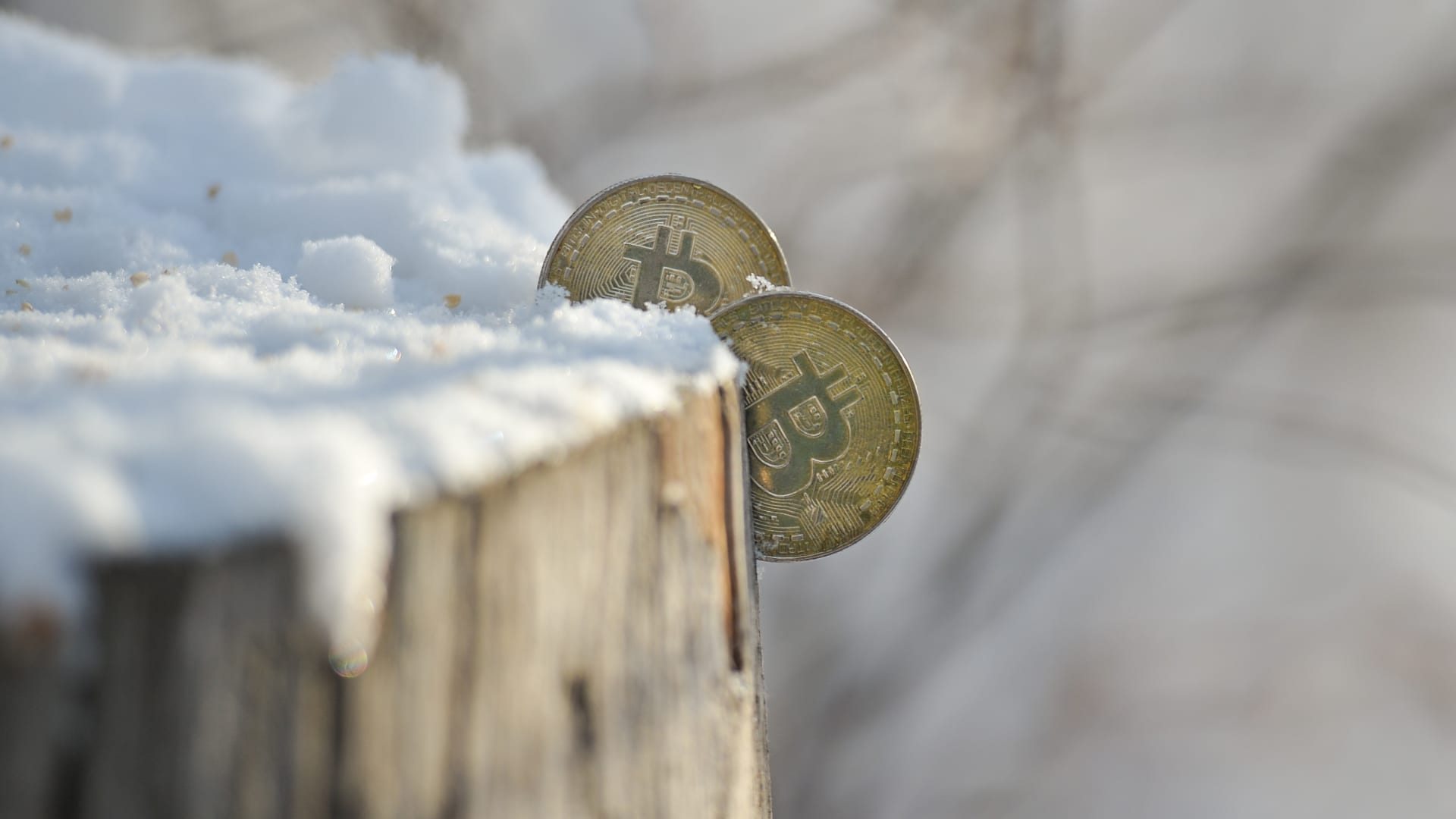 Bitcoin has crashed 68% from its peak â but one bull says the latest crypto winter is a ‘warm winter’