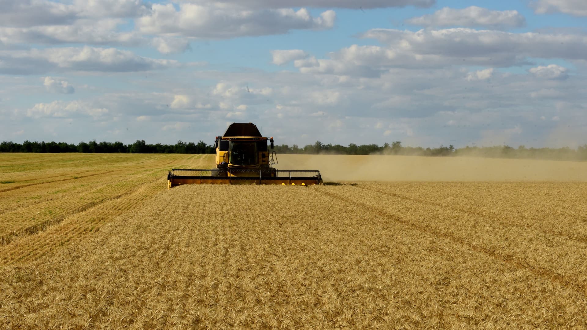 Farmers harvest a wheat field near Melitopol in Ukraine amid Russia's onsluaght.