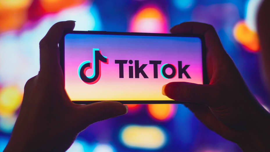Premium TikTok Accounts for Sale