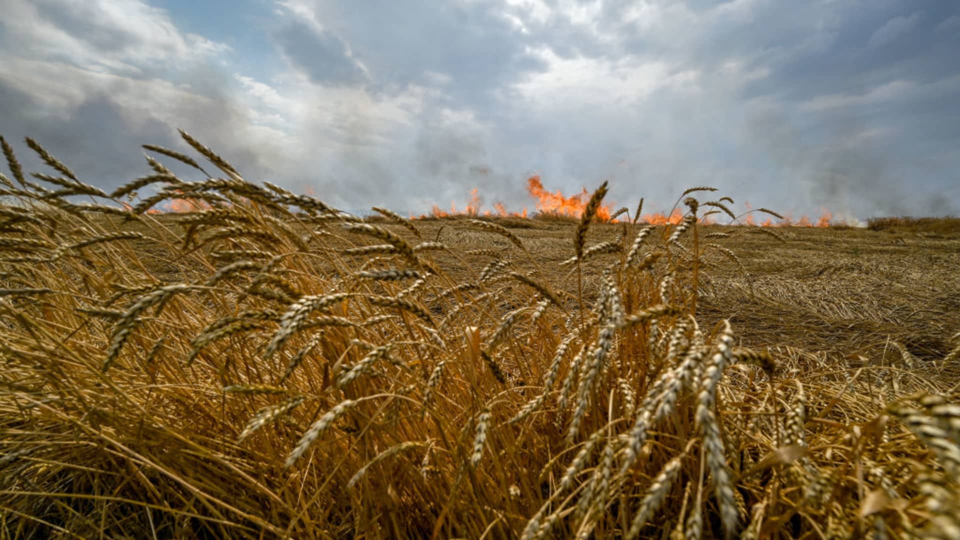 A fire destroys a wheat field as Russian troops shell fields to prevent local farmers from harvesting grain crops, Polohy district, Zaporizhzhia Region, southeastern Ukraine.